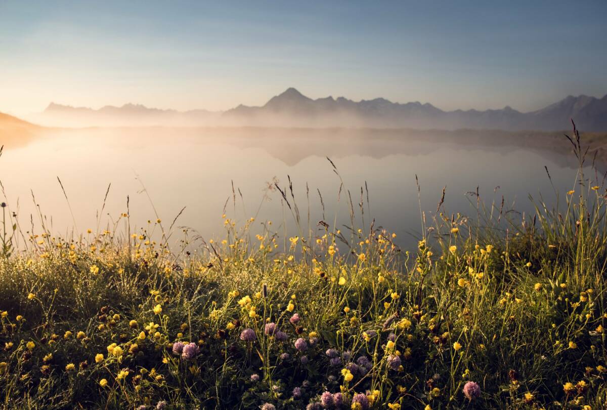 © Zillertal Tourismus
